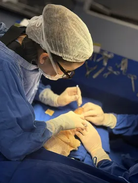 Cirurgia da mão – detalhe do procedimento