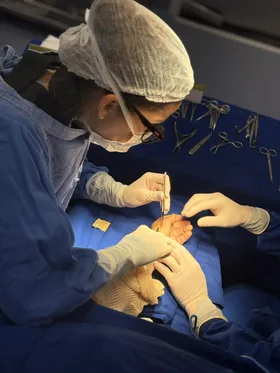 Dra. Amora Wolff realizando cirurgia da mão